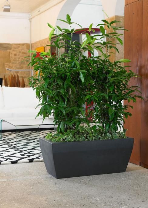 Akan Cassetta 80x40x33 cm Akan Cassetta 80x40x33 cm